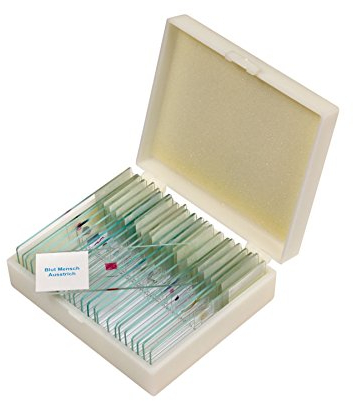 Betzold - Präparate-Set 2 – 25 Stück, Zubehör für Mikroskop, Biologie, organische Objekte