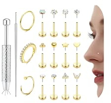 Diamday 15 Pièces Piercing Helix Acier Inoxydable Piercing Nez Anneau Labret Or/Argent Hypoallergénique Piercing Oreille Labret Levre Conch Helix Tragus Piercings