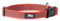 JULIUS K-9 225CG-R Color & Gray Halsband, 25mm*39-65 cm, verstellbar, rot-grau, 25 mm (39-65 cm)
