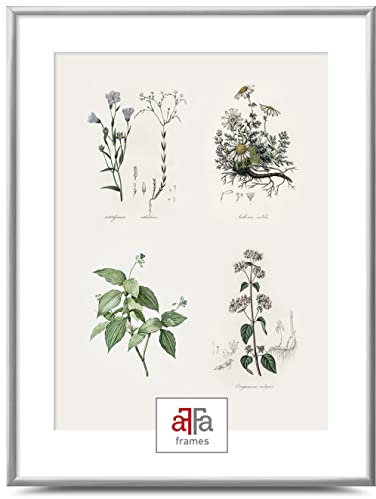 aFFa frames Cadre photo en plastique Plast Design classique élégant Convient pour les photos Posters Diplômes Certificats de diplôme 60x80 cm Couleur Argent