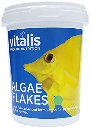 Vitalis Algae Flakes Fischfutter Aquarium Fischfutter Aquarium Flakes für pflanzenfressende Meerestiere - Hochverdaulich und Ausgewogen - Vitamine und Mineralien (40g)