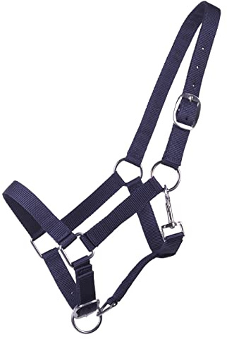 QHP Cabestro para Potros Yearling