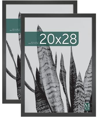 MCS Studio Gallery Frame, Black Woodgrain, 20 x 28 in, 2 pk