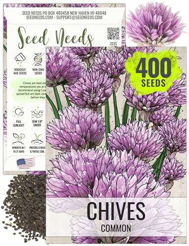 Seed Needs Common Chives Seeds to Plant Heirloom Non-GMO Herbs 1 Pack