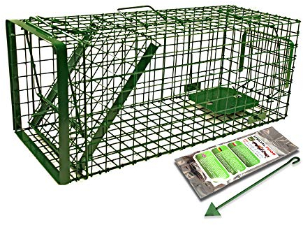 Holtaz Fallen Hardy Grün 80x34x34 cm 1 Tür Marderfalle Katzenfalle Fuchsfalle Biberfalle Tierfalle Kastenfalle Drahtfalle Waschbärfalle Mit Extra Köder