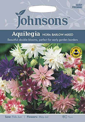 Johnsons 16734 Flower Seeds, AQUILEGIA Nora Barlow Mixed