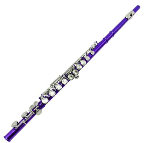 Tvärflöjt Flöjt Professionell 16-håls C-nyckel E-nyckel Stängt Hålsflöjt Silverpläterad Nybörjarstandard Vuxenflöjt(Purple)