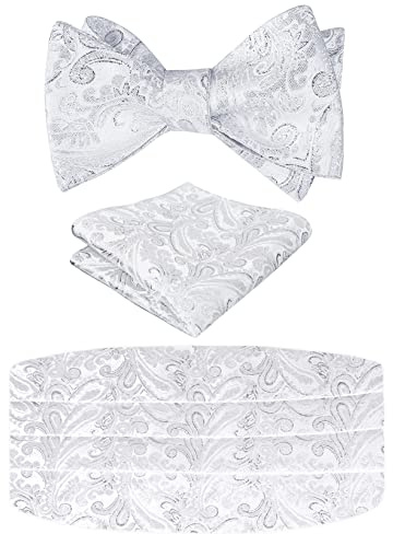 Alizeal Herr klassisk paisley självknuten justerbar fluga, kummerbund och ficknäsduk set, Glänsande silver, en storlek