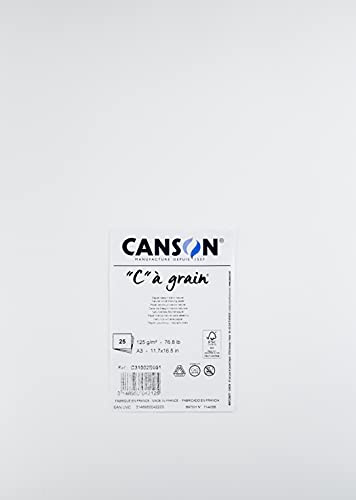 CANSON C à Grain - 25 feuilles de papier croquis - Grain fin - A3 - 125g/m² - Blanc naturel