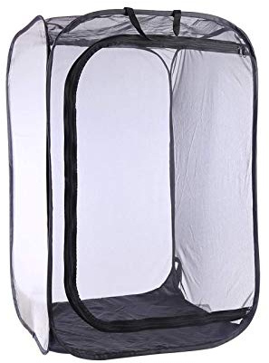 Casetta Farfalle, Gabbia Habitat Mesh Pieghevole Trasparente, Piantine 38x38x60 cm
