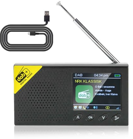 Inefala DAB DAB+ Radio Portatile, Soporta Bluetooth, FM Radio,Visualizzazione di Più Ore, Doppio Allarme, Display a Colori, Alimentazione a Batteria