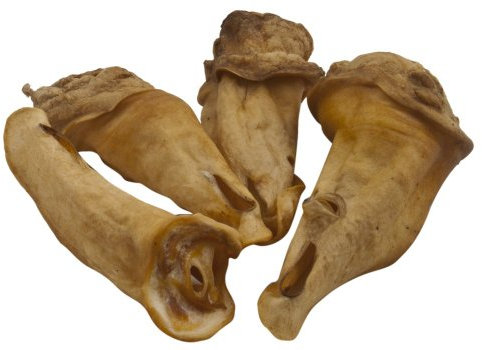 Kalbsohren 1kg by RinderOhr