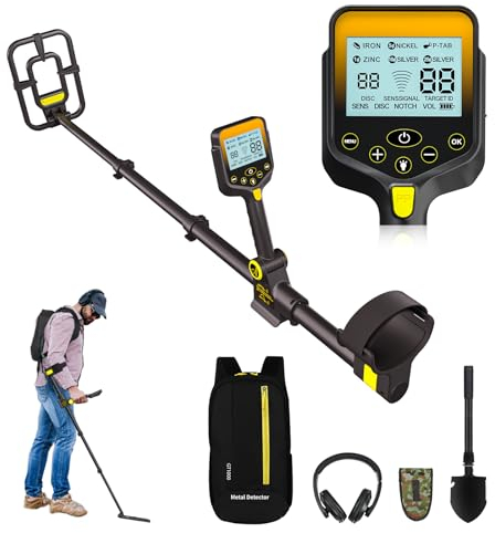 Metal Detector Professionali - 2000mAH Ricaricabile Metal Detector Oro per Adulti con Display LCD, Alta Precisione, Bobina di Ricerca IP68 Impermeabile da 10, Pieghevole e Retrattile