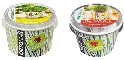 Todo Cultivo Kit de plantación de Semillas ALBAHACA Y CEBOLLINO