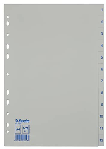 Esselte 100153 - Divisori per Formato A4, 12 divisori con Numeri da 1 a 12, in plastica Resistente, Colore: Blu/Bianco