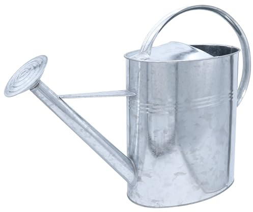 Agrarflora Zinkgießkanne 10 Liter - langlebige Metallgießkanne - Blumengießkanne mit abnehmarer Brause - dekorative Zink Gießkanne, zur Bewässerung von Blumen und Pflanzen
