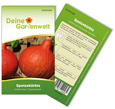 Hokkaido Kürbis Uchiki Kuri Samen - Cucurbita maxima - Kürbissamen - Gemüsesamen - Saatgut für 8 Pflanzen