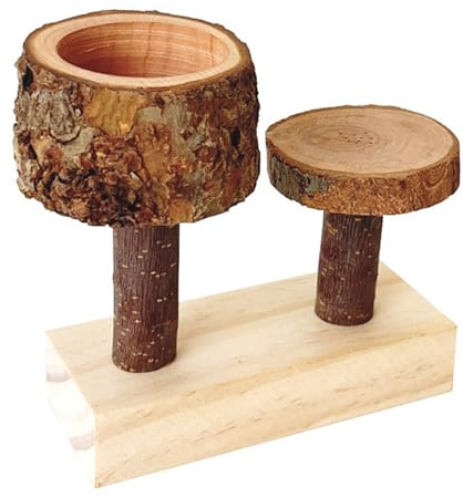 Songelt Roditori Ciotola di Cibo Applewoods Masticare Giocattolo Stabile Pet Accessorio Per Roditori Dentali Salute In Legno Naturale Criceti Alimentatori Ciotola