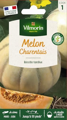 Vilmorin - Melon charentais