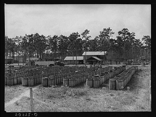 HistoricalFindings Photo: Turpentine Still,North Florida,FL,Farm Security Administration,Wolcott,FSA