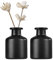 2 Stück 50 ml Glas-Aromatherapie-Diffusor-Flaschen, Diffusor-Gläser, ätherische Öle, Behälter, Blütenknospen, Vasen, DIY-Ersatz, Aromatherapie-Diffusor, Handwerk, Duftzubehör (schwarz)