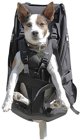 DogCarrier Bolsa para Perros Mochila para Perros Portador de Perros Arnés de Transporte para Perros Caja para Perros 15-30kg