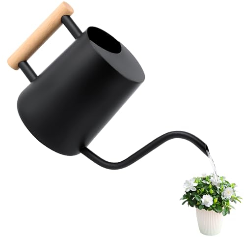 Gießkanne 1L,Giesskanne Zimmerpflanzen Klein Indoor,Giesskanne mit langem Auslauf und komfortablem Holzgriff,Edelstahl Gieskanne Schwarz für Topfpflanzen Sukkulenten,Metall Gartengießkanne für innen