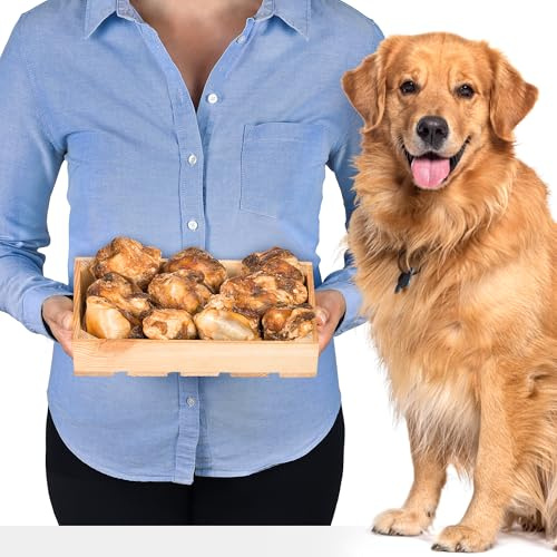 Beef Knees for Dogs 10 Pieces (1.5 kg) | Natural Long-Lasting Chew Snacks | Hypoallergenic Dental Care Treats | Low-Calorie Chew Bone Snack