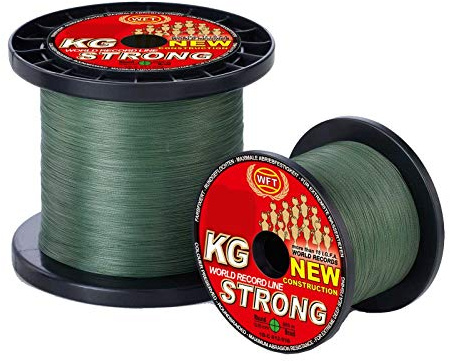 WFT KG Strong Exact geflochtene Schnur 480m 0,22mm 32kg, Farbe:Grün