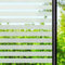 DARUITE Window Film Privacy Film for Glass Windows, Reusable Self Adhesive Stripe Frosted Window Films for Living Room, Kitchen, Front Door, Office (30x200cm, Wide Striped)