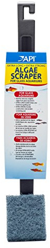 API ALGAE SCRAPER For Glass Aquariums 1-Count Container