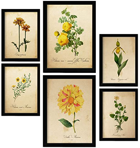 Nacnic Posters di Fiori Gialli. Manifesti Naturalistiche e Botaniche a Colori con Temi Floreali in Stile Carta Vintage. Progettazione e decorazione d'interni. A4 & A3.