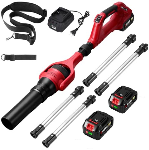 Souffleur à feuilles sans fil extensible (A-rouge)