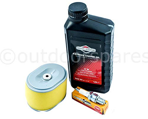 Service Kit Compatible With Honda GX140 GX160 & GX200 Engines