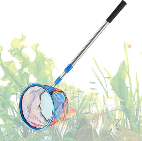 Épuisettes de Pêche | Épuisette à Grenouille Télescopique - Jouets D'Épuisette Robuste avec Poignée Antidérapante pour Attraper Les Papillons en Jeu D'Été en Plein Air pour