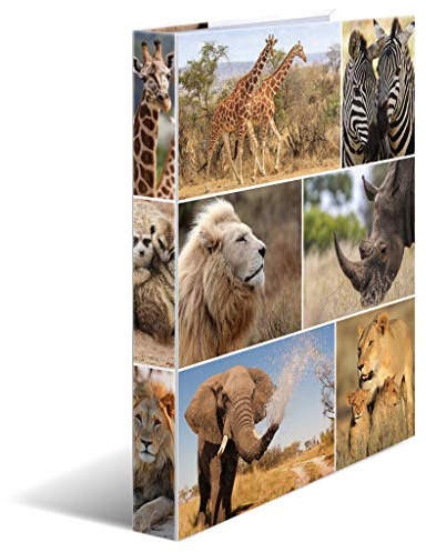 HERMA Ringbuch A4 Löwe, schmal, 2 Ringe, 35 mm breit, Kinder Ringordner mit Tier Motiv, bunter Ordner mit Innendruck für Jungen und Mädchen