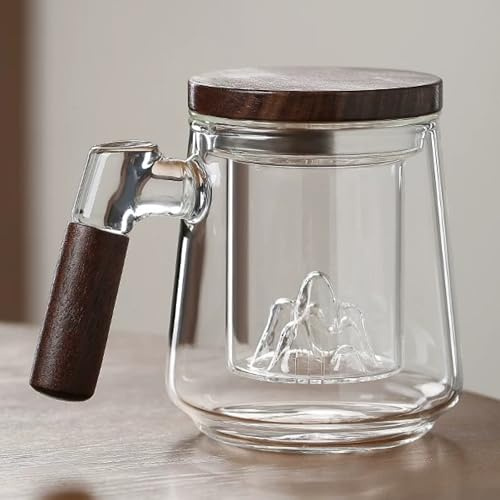JanYoo Glastekopp med lock och sil, 500 ml tekoppar stort trähandtag teglas av borosilikat glasmugg med tesil för lös te/teälskare/te present (transparent)