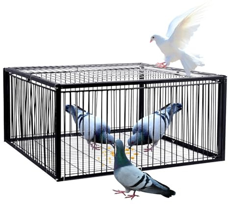 ASQUAR Fågelfälla Duvfälla Med Enkel Ingång Djurfälla Lätt Att Montera Bur Duvabur 2CM Kryptering Anti-escape Design Automatisk Insamling Fågelfälla Lämplig För Gårdar, Skogar Och Tak(60x40x26CM)