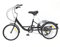 NadineDutol 20 8-Gang-Dreirad für Erwachsene Cruiser Fahrrad Klappbares Dreirad für Menschen mittleren Alters und ältere Menschen, mit Rückenlehne und Einkaufskorb