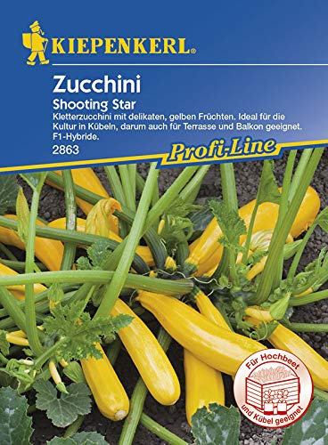 Kiepenkerl 2863 Zucchini Shooting Star F1 (Zucchinisamen)