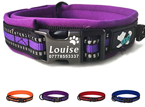 Personalised Dog Collar Adjustable Reflective Dog Collars Engraved Dog ID Tag Collar Custom Nylon Puppy Collars with Name & Phone Number for Small Medium Large Dogs (Purple, m)
