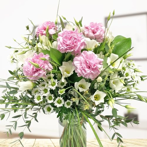 Rosa Nelken Blumenstrauß - Inklusive gratis Grußkarte