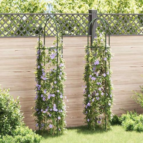 Générique Arche de Jardin en Forme de Tour 2 pcs,Arches, treillages & pergolas de Jardin,2.96KG-40779