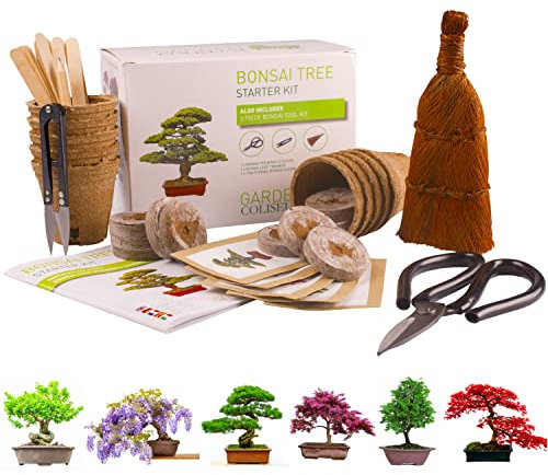Bonsai Tree KIT - Grow Your OWN Bonsai Trees from Seeds - Sustainable ECO Gardening Gift Set + Tool KIT. 5 Seed Varieties Germination Starter KIT - Great Gift IDEA for Women & Men. Beginner-Friendly