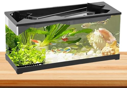 Acquario - Acquario Con Filtro, Vasca Pesci Acrilico | Kit Avviamento Pesci, Acquario Con Pompa, Acquario Per Tavolo E Soggiorno, Chiaro E Compatto Per Casa O Ufficio Principianti