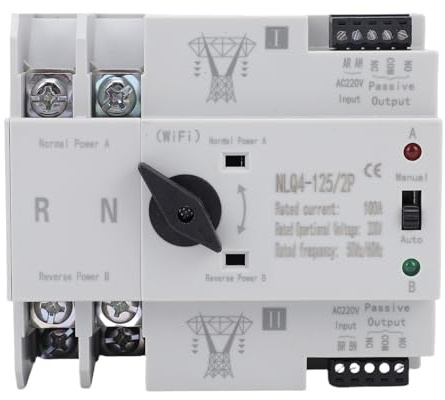 Eujgoov Interruttore di Trasferimento Automatico a Doppia Alimentazione, Interruttore di Commutazione Generatore Intelligente WiFi 2P 100A con Controllo Manuale per Laboratorio di Fabbrica