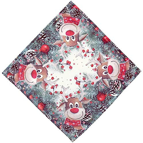 matches21 HOME & HOBBY Tischdeckchen Livia 30 x 30 cm drolliges Rentier & Tannenzweige Weihnachten Mitteldecke Polyester