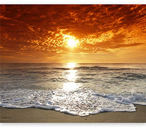 murando - Fotomurales Mar 250x175 cm XXL Papel pintado tejido no tejido Decoración de Pared decorativos Murales moderna de Diseño Fotográfico naturaleza 100403-257