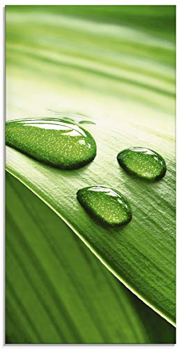 ARTland Wanddeko Glasbilder Wandbild Glas Bild einteilig 30x60 cm Hochformat Natur Pflanzen Blätter Wassertropfen Zen S6RI