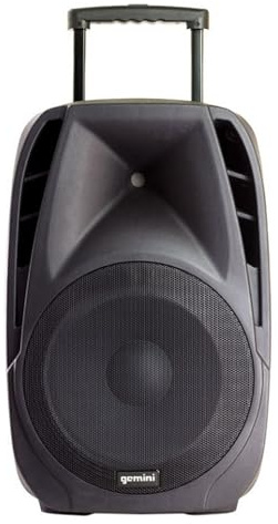 Gemini ES-15TOGO - Altavoz de suelo universal, 200 W, woofer de 15 pulgadas, color negro